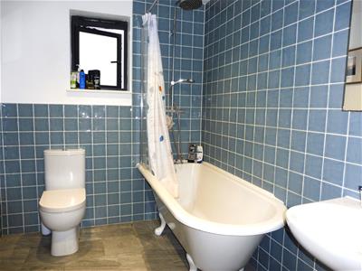 Picture 11